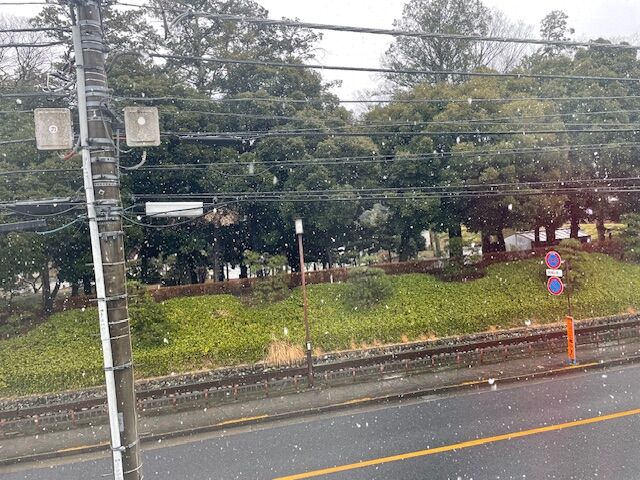 雪⛄