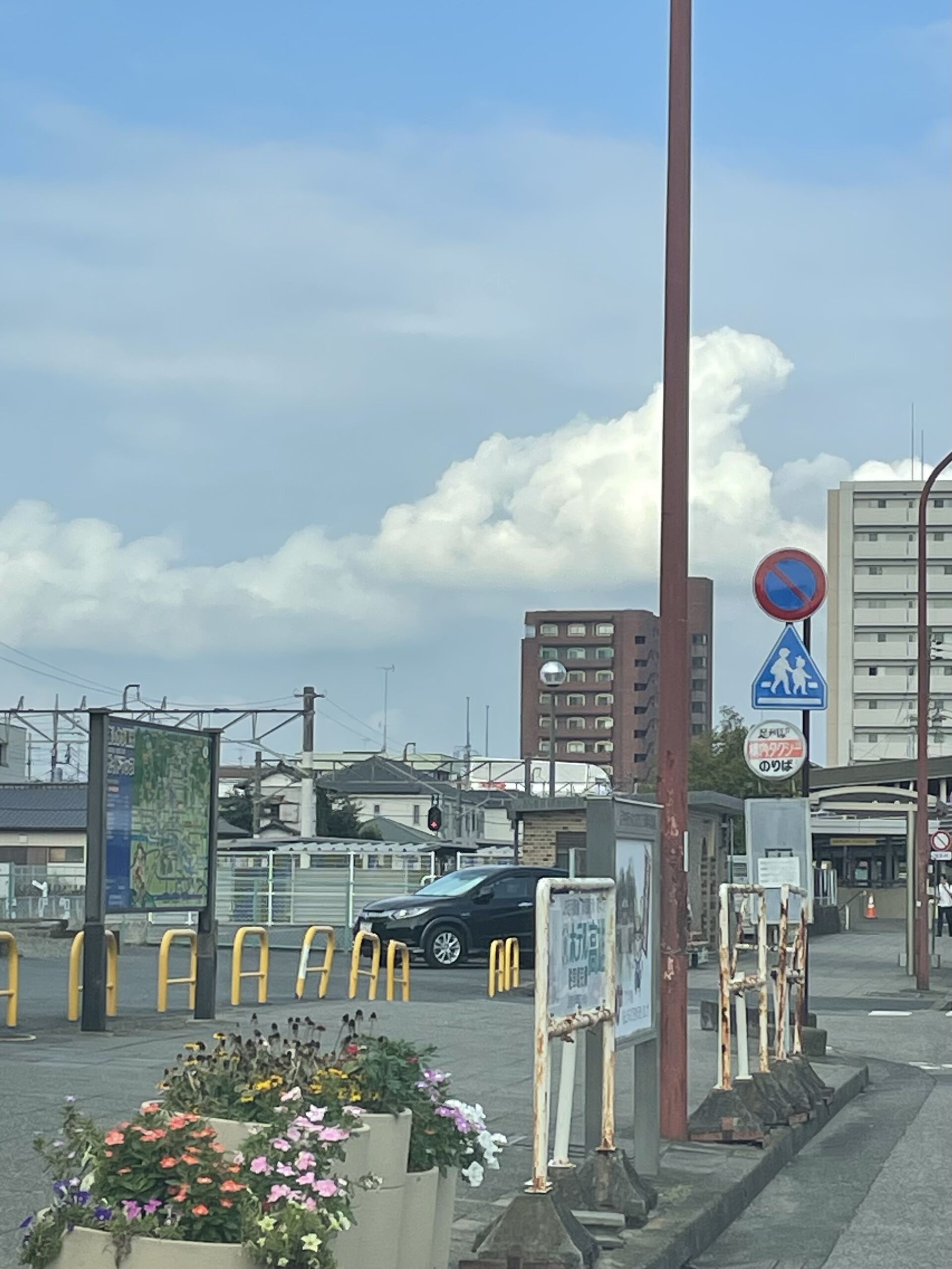 本日も元気に作業に参加！
